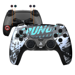 Custom PS5 controller