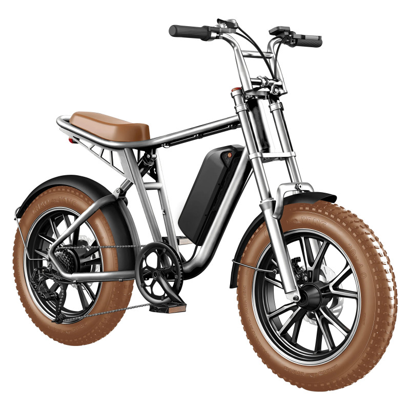 Electric bike